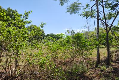 1,000 m² Residential Land at Mvindeni - 3