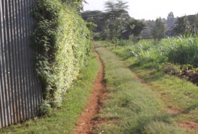0.25 ac Land at Gikambura - 4