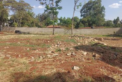Residential Land at Runda - 4