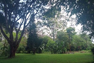 Land at Kitisuru Road