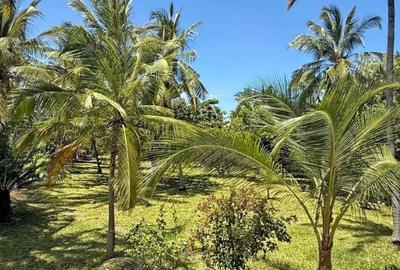 3 Bed House with En Suite in Watamu - 3