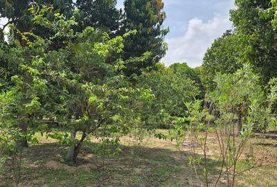 6 ac Land at Mtwapa - 2