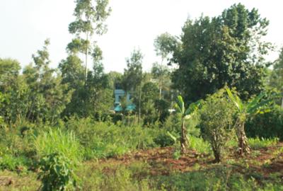 0.25 ac Land at Gikambura - 2