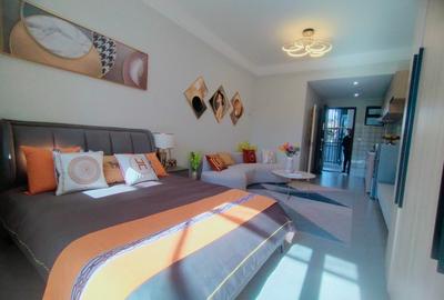 Studio Apartment with En Suite in Naivasha Road