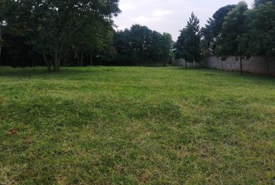 0.5 ac Residential Land in Runda