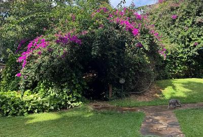 5 Bed House with En Suite in Lavington