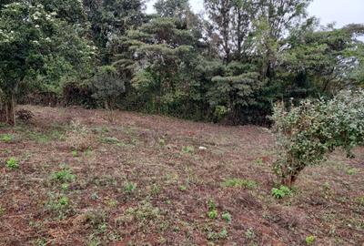 Residential Land in Langata