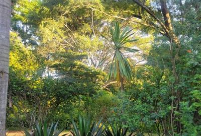 Residential Land at Loresho - 4