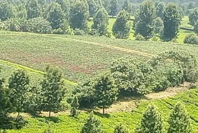 2 ac Land at Off Tigoni - Kabuku Rd - 4