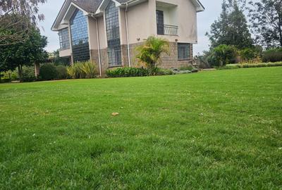 4 Bed House with En Suite at Bogani East