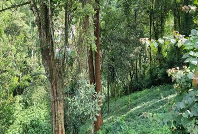 0.5 m² Land at Kitisuru Road - 2