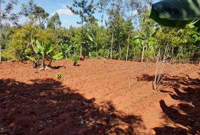 1 ac Land at Kandara Road - 4