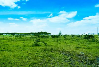 5,000 m² Residential Land at Tuala