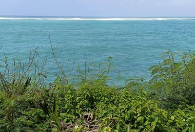 Land at Tiwi