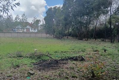 0.5 ac Land at Ndovu