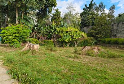 1 ac Residential Land in Riverside - 4
