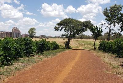 Land at Ruiru