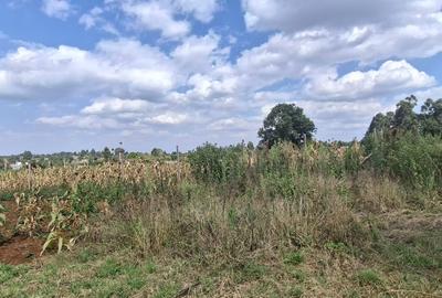 0.125 ac Land in Kamangu - 3