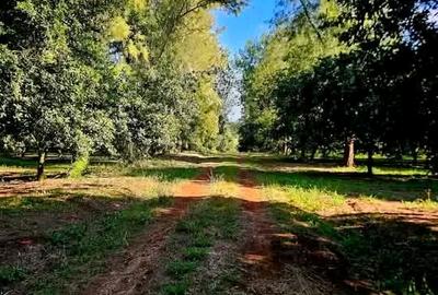 50 ft² Residential Land at Juja