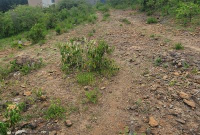 0.2 ha Commercial Land at Merisho Road - 2