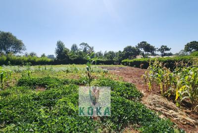 0.5 ac Land in Tigoni - 3