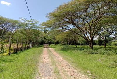 Land at Roysambu