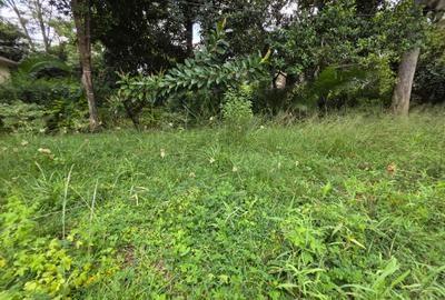 Commercial Land in Lavington - 4