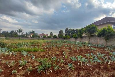 0.5 ac Land for Sale in Runda