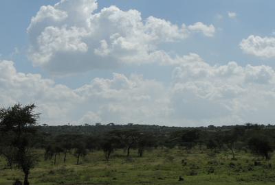 5 ac Land at Oloilalei - 3
