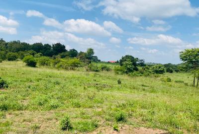19 ac Land at Kenol-Makutano Highway - 2