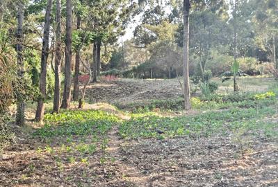 0.3 ac Land at Kabiria - 3