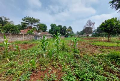 Residential Land at Pan African Insurance Avenue - 3