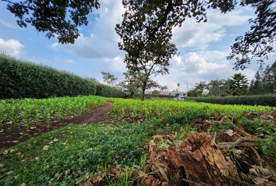 Residential Land in Karen