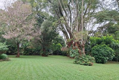 5 Bed Townhouse with En Suite at Rosslyn Lone Tree Estate Rd