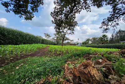 Residential Land in Karen