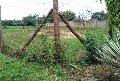 Residential Land in Runda