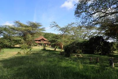 Commercial Land at Sangare Conservancy