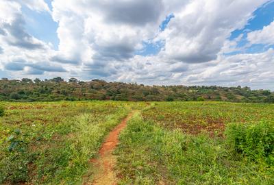 Residential Land in Kiambu Town