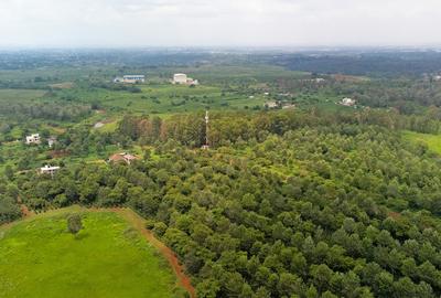 0.125 ac Residential Land in Ruiru - 2