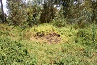 Land at Off Bogani Rd