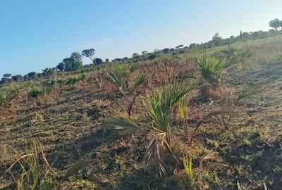 33 ac Commercial Land at Kiwengu