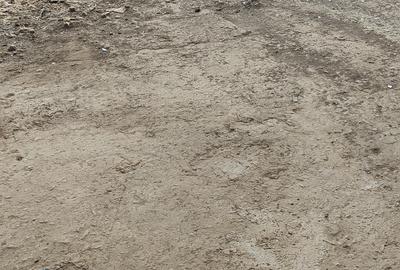 Commercial Property with Parking in Ngong Road - 2