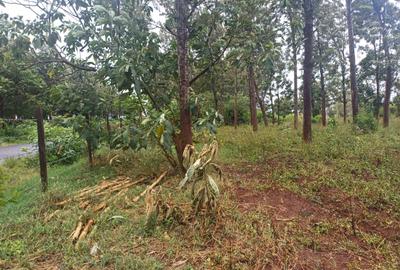 Commercial Land at Gatanga