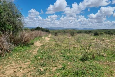 14 ac Land in Bisil - 3