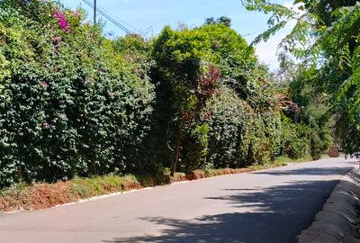0.1 ha Residential Land at Kerarapon Drive - 4