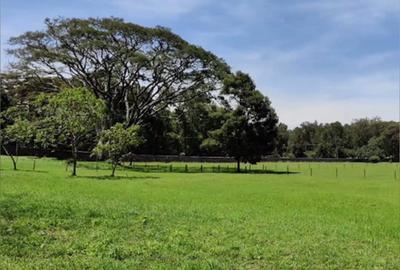 Residential Land in Karen