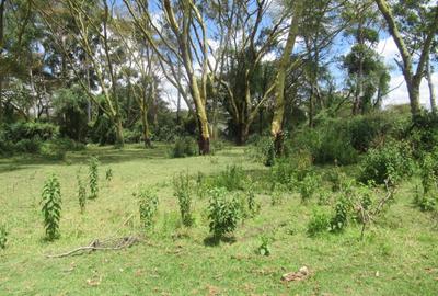 25 ac Land at Moi South Lake Rd