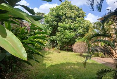 4 Bed Villa with En Suite in Kitisuru - 3