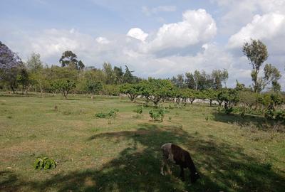 0.114 ac Land in Nyeri