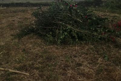 Land in Ngong